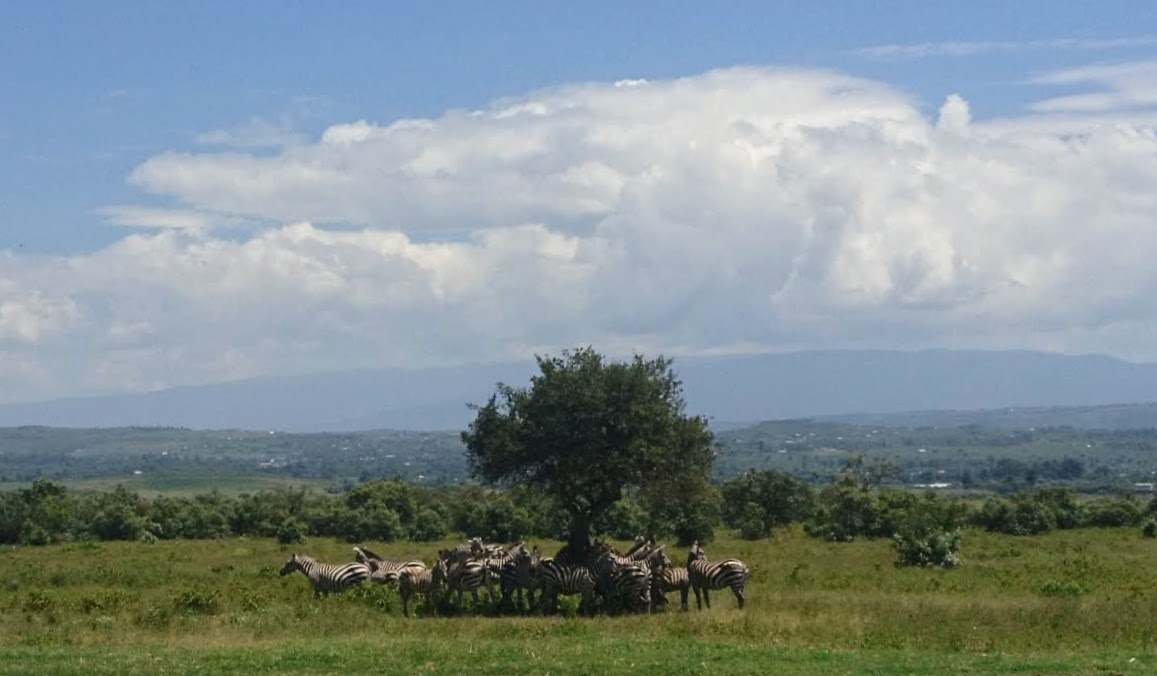 The Road to Kericho