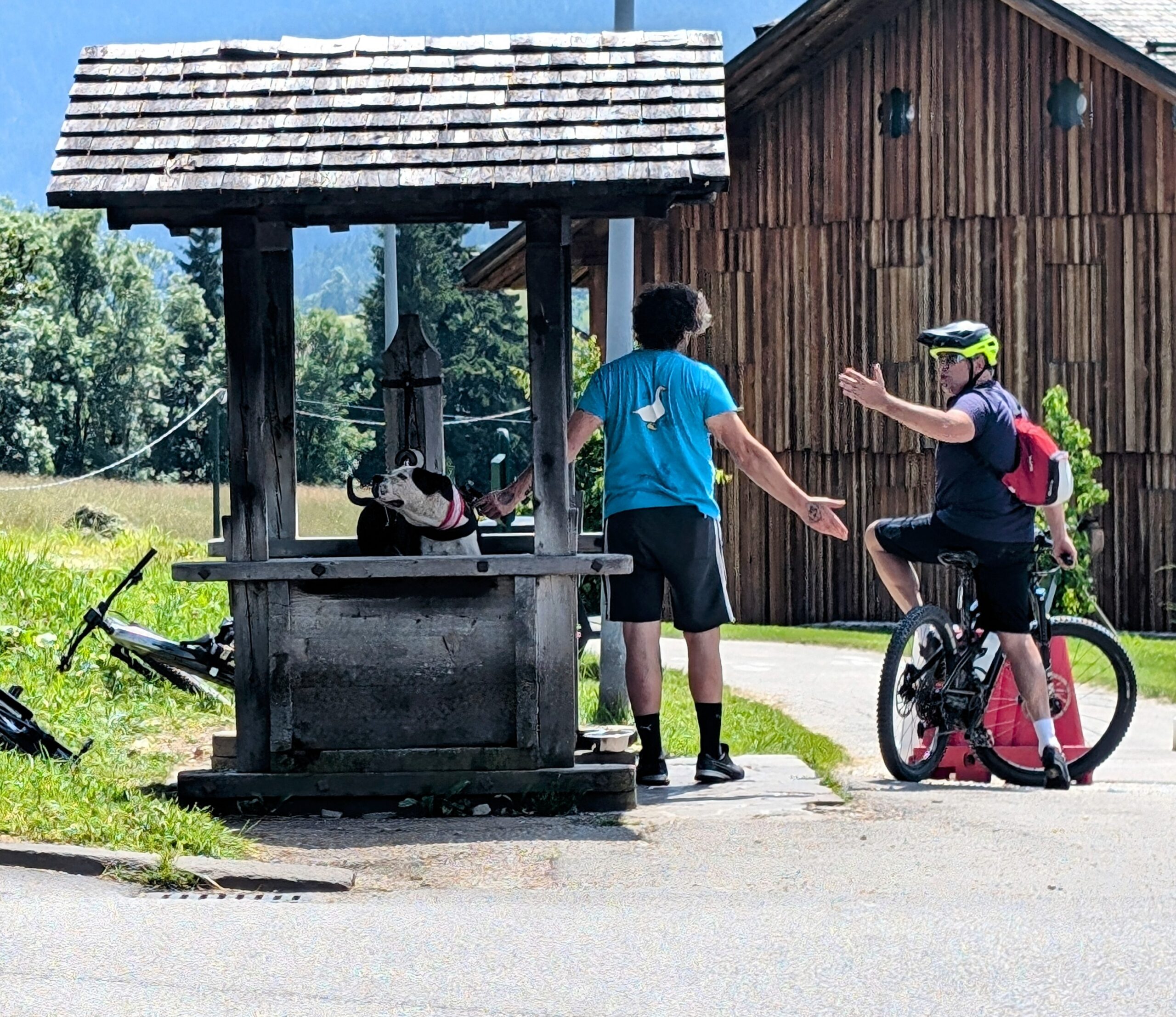 Alps 2024 — Day 9: Sauris to Villabassa via Cortina